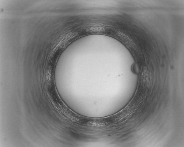 X0000060270739200511181419