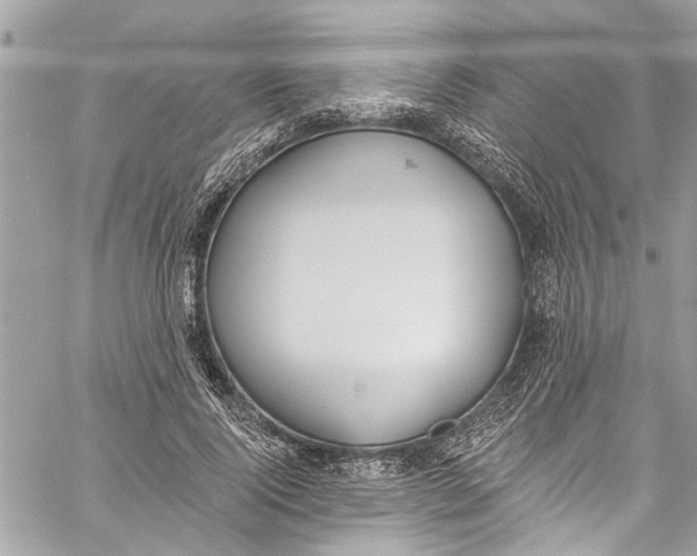 X0000060270740200511181419