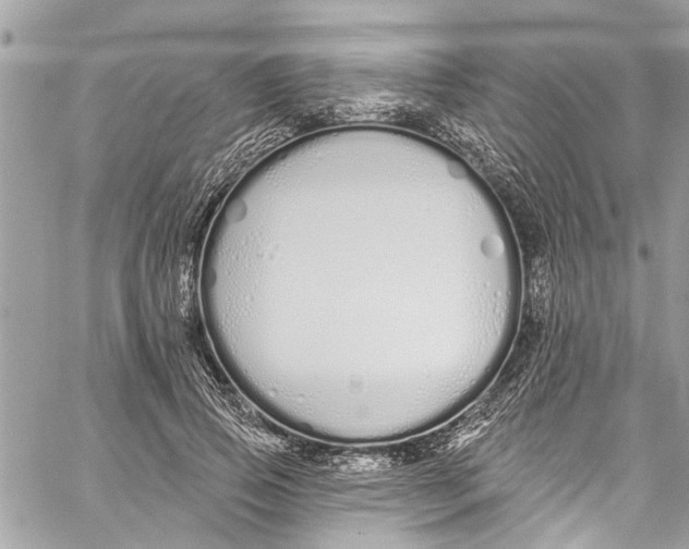 X0000060270741200511181419