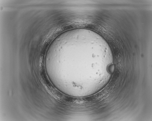 X0000060270742200511181419