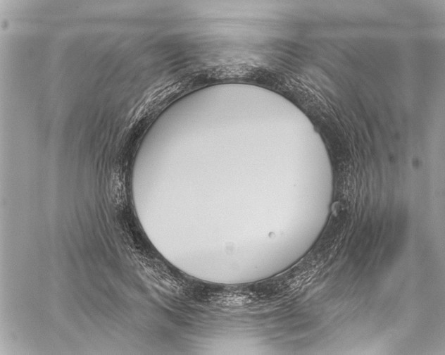 X0000060270743200511181419