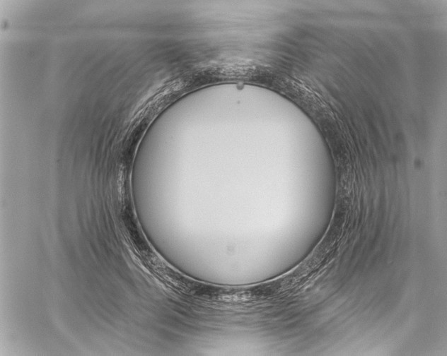 X0000060270744200511181419