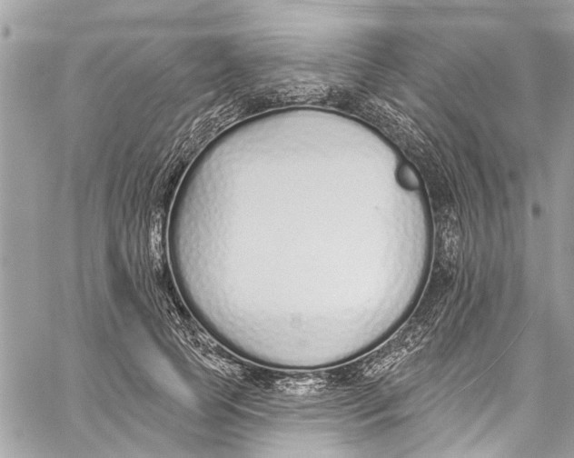 X0000060270745200511181419