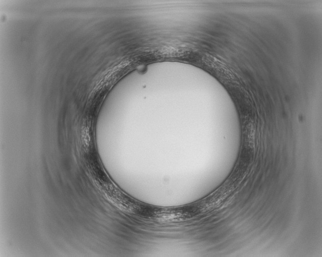 X0000060270746200511181419