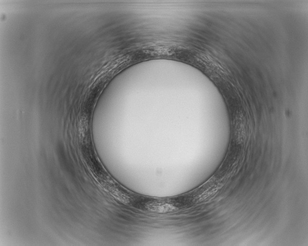 X0000060270747200511181419