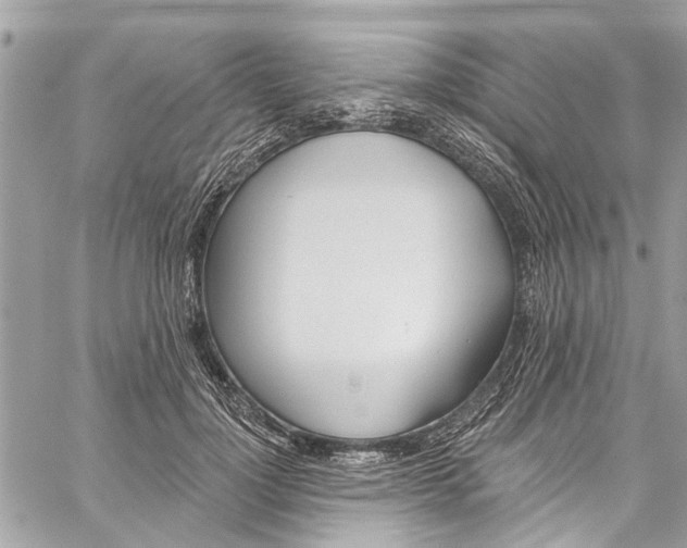 X0000060270748200511181419