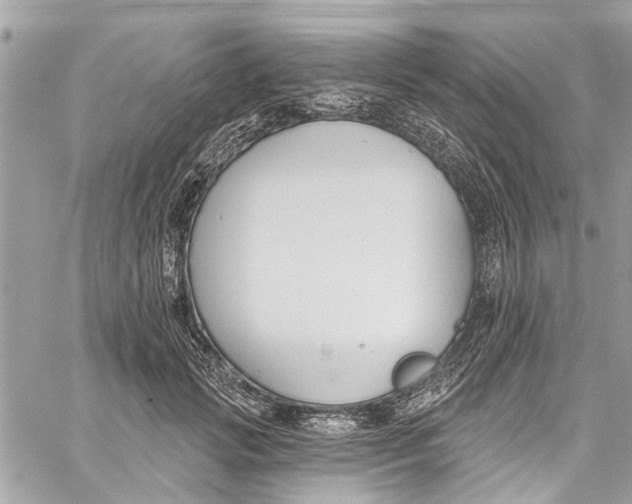 X0000060270749200511181419