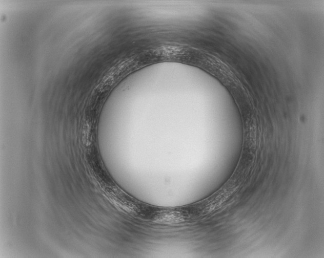 X0000060270750200511181419