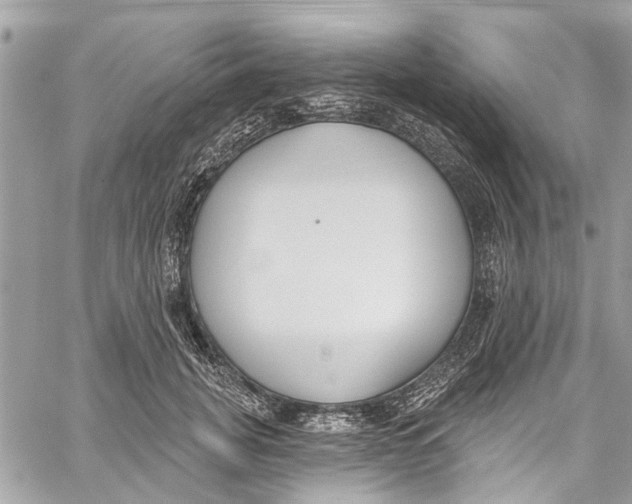 X0000060270751200511181419