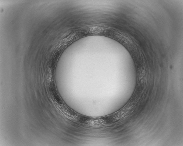 X0000060270752200511181419