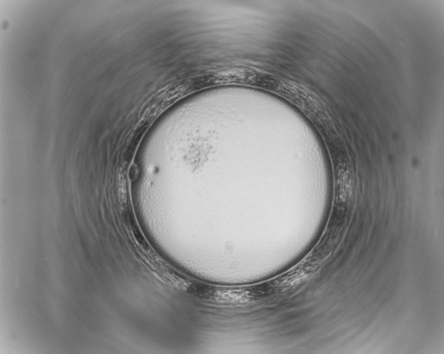 X0000060270753200511181419