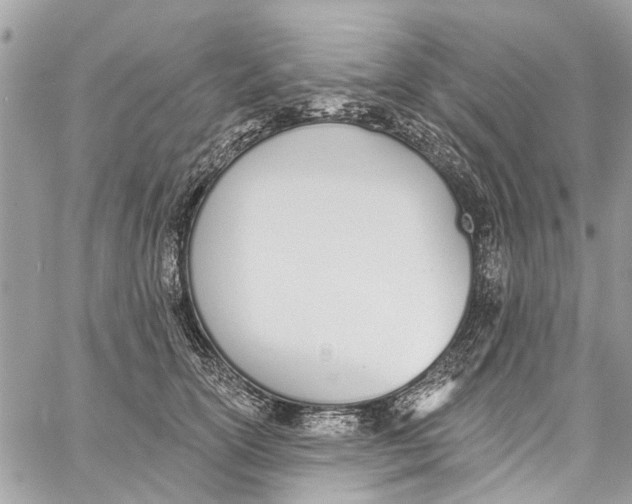 X0000060270754200511181419