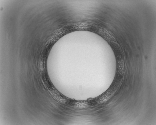 X0000060270755200511181419