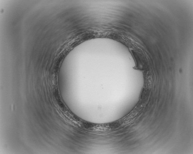 X0000060270756200511181419