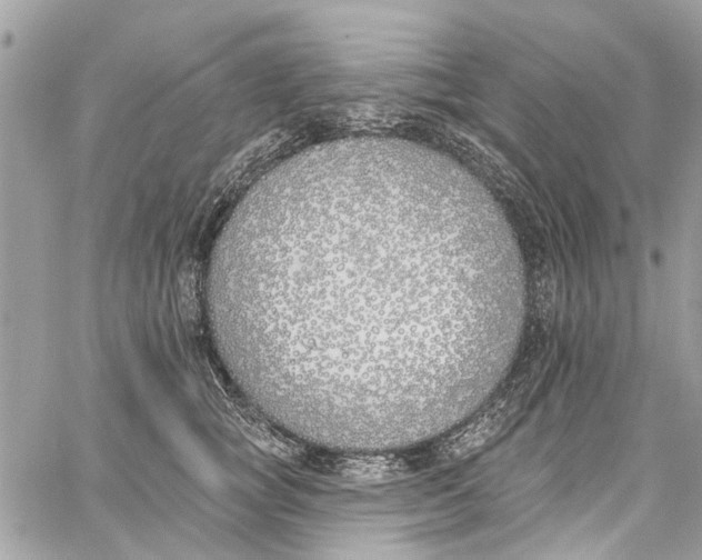 X0000060270757200511181419