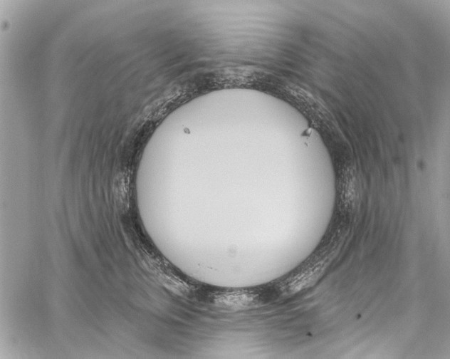 X0000060270759200511181419