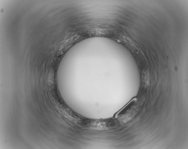 X0000060270760200511181419