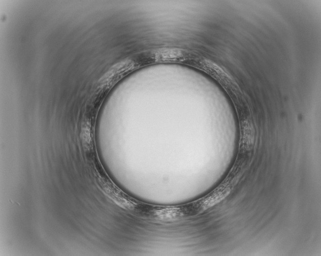 X0000060270761200511181419