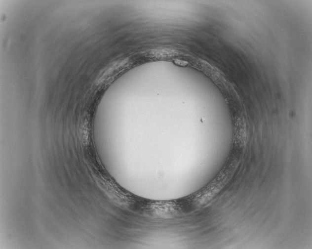 X0000060270762200511181419