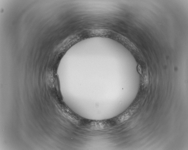 X0000060270764200511181419