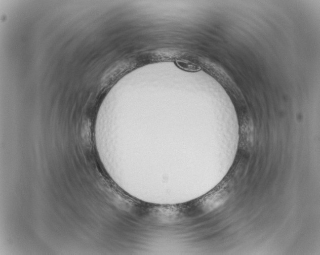 X0000060270765200511181419