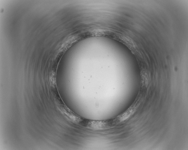 X0000060270766200511181419