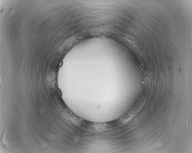 X0000060270767200511181419