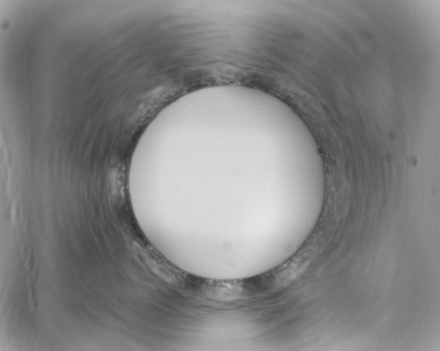 X0000060270768200511181419