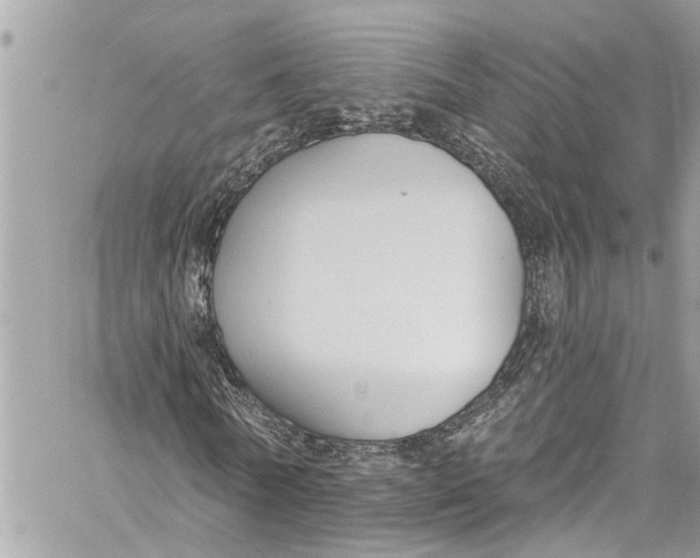 X0000060270770200511181418