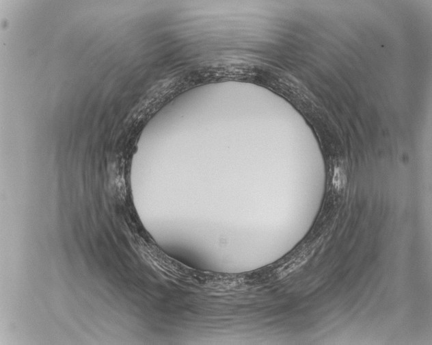 X0000060270771200511181418