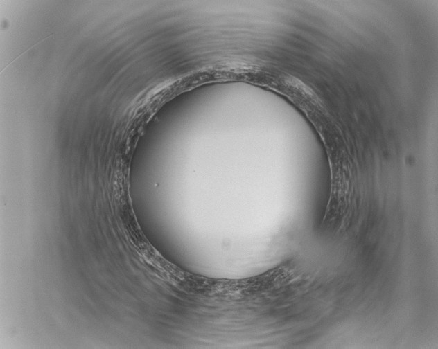 X0000060270773200511181418