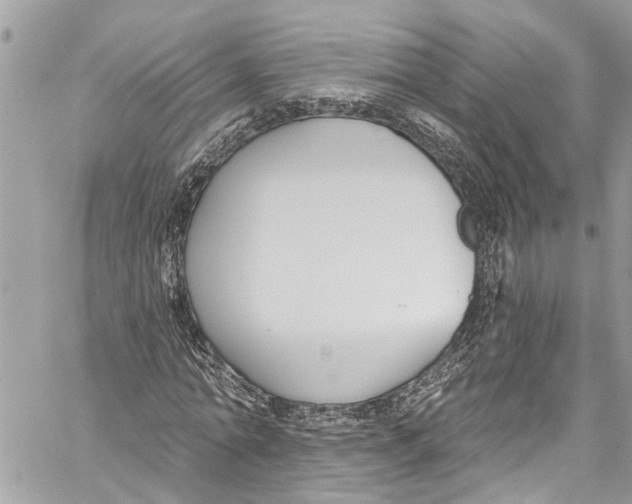 X0000060270774200511181418