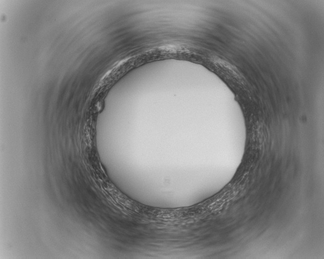 X0000060270776200511181418