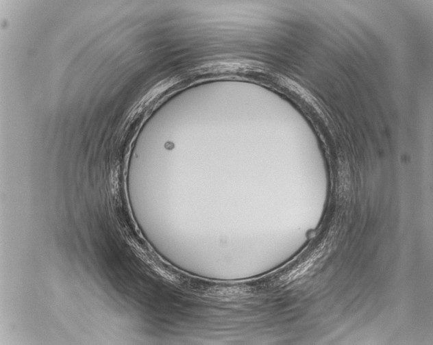 X0000060270778200511181418