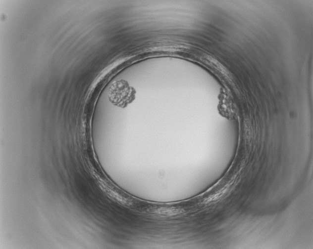 X0000060270779200511181418