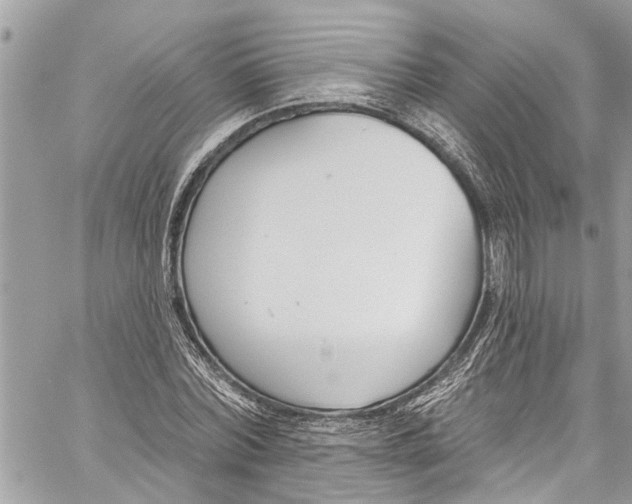 X0000060270780200511181418