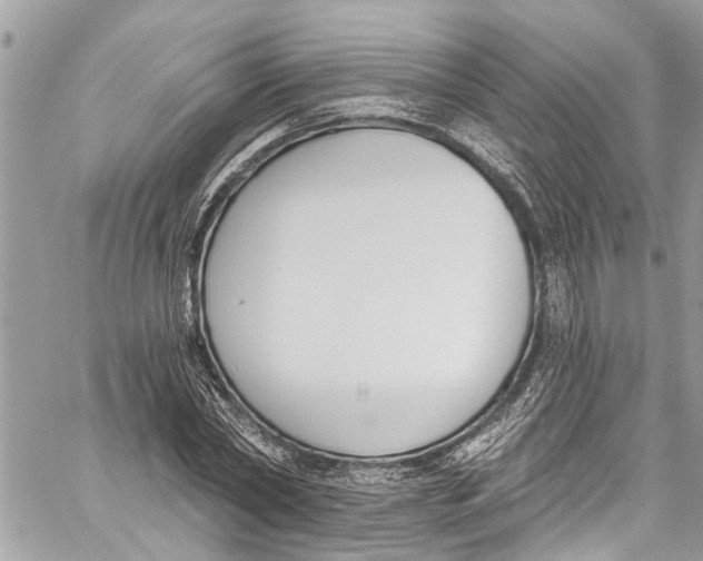 X0000060270782200511181418