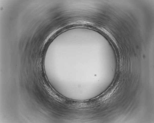 X0000060270783200511181418