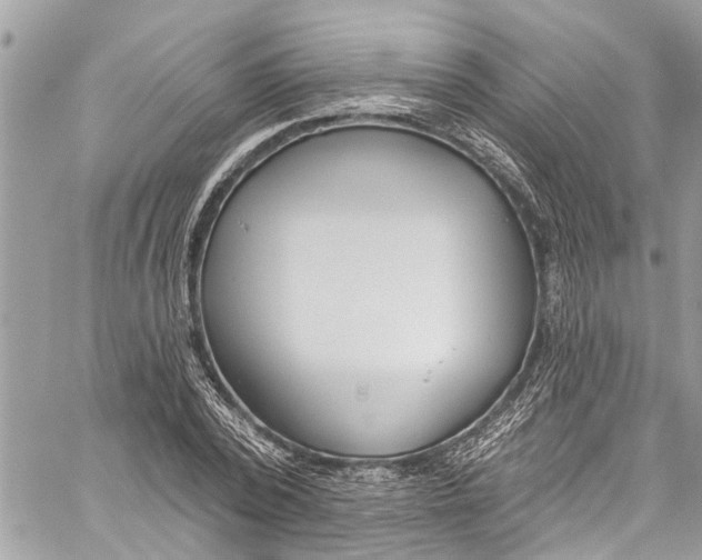 X0000060270784200511181418