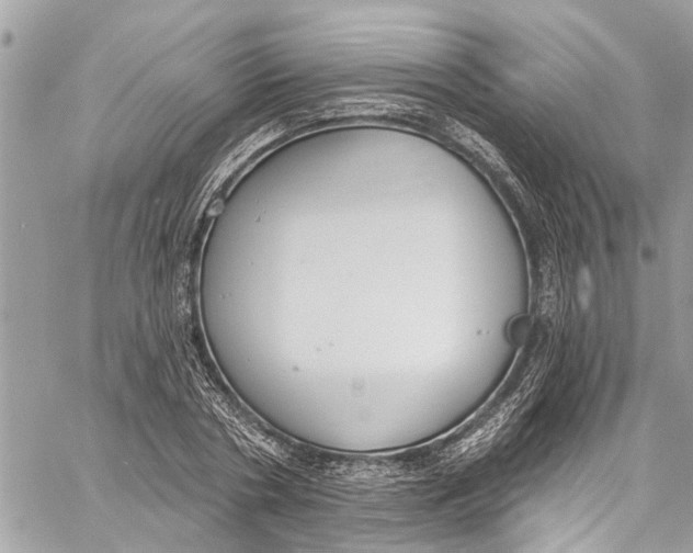 X0000060270786200511181418