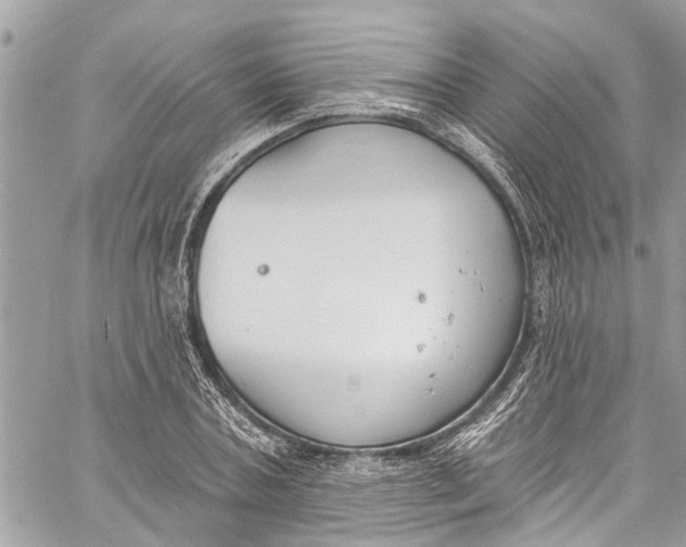 X0000060270787200511181418