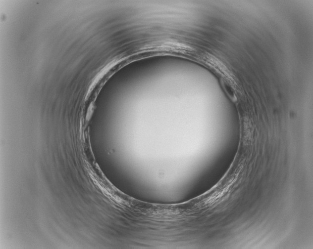 X0000060270788200511181418