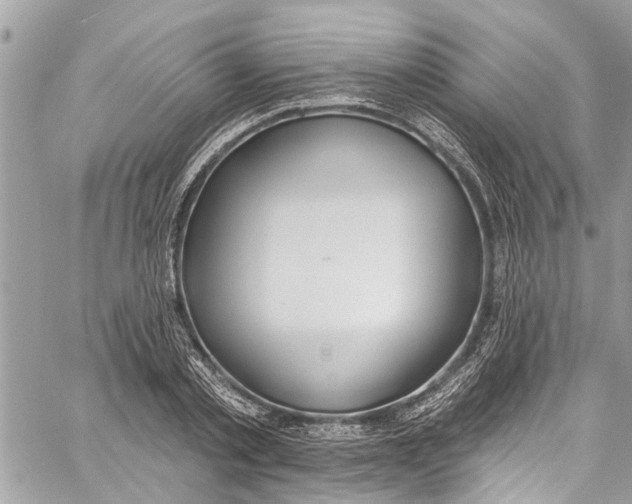 X0000060270789200511181418