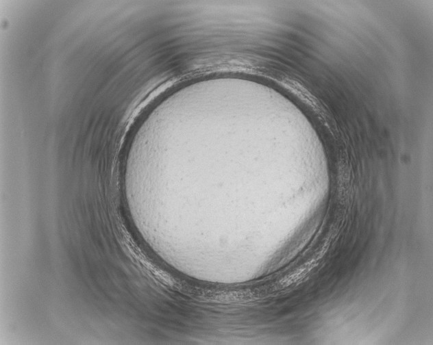 X0000060270790200511181418