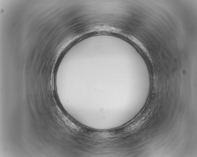 X0000060270791200511181418