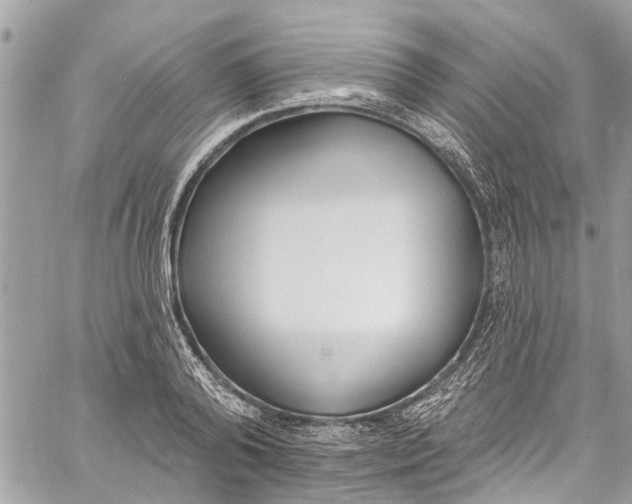 X0000060270792200511181418