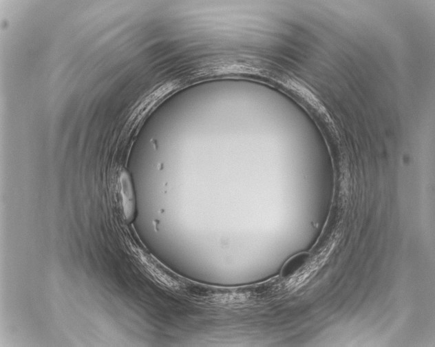 X0000060270793200511181418