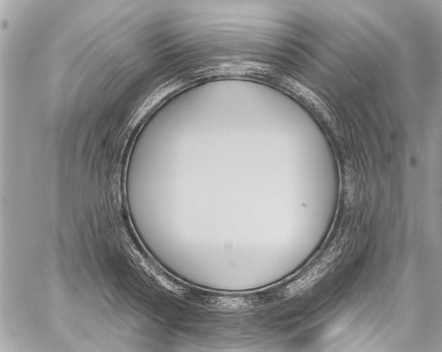 X0000060270794200511181418