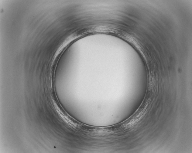 X0000060270795200511181418