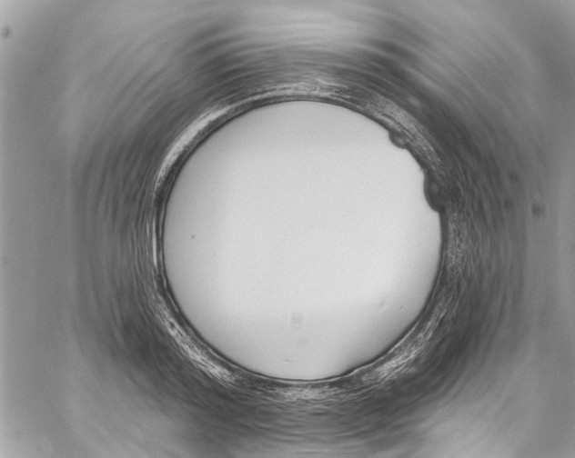 X0000060270796200511181418